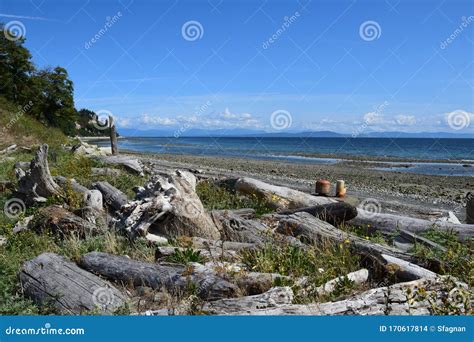 Goose Spit Beach Landscape Comox Bc Stock Photo Image Of Scenic