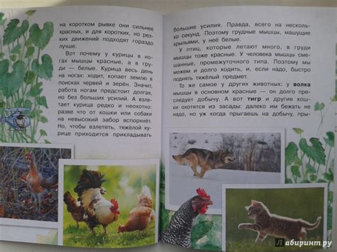 Книга: Кто без ног ходит? - Петр Волцит. Купить книгу, читать рецензии ...