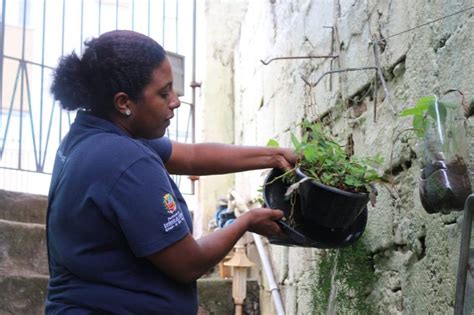 Prefeitura De Atibaia Reforça Combate à Dengue Em Meio A Aumento De