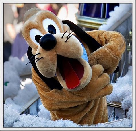 Pluto | Disney theme parks, Animal kingdom disney, Disney world characters