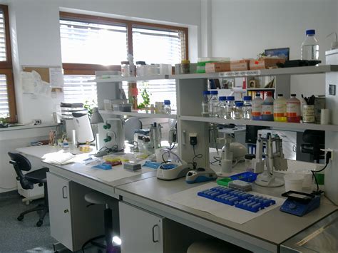 filelaboratorium biologia molekularnajpg wikimedia commons