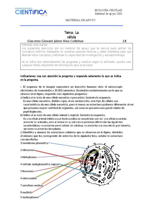 Biología Celular Material De Apoyo Semana 02 2da Parte Material De Apoyo 2021 Estimado