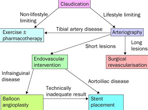 Peripheral Arterial Disease The Lancet