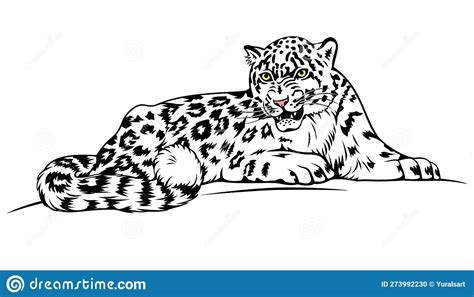 Snow Leopard Vector Clipart Stock Vector Illustration Of Predator