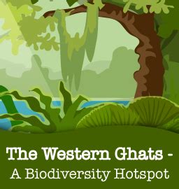 Exploring The Western Ghats, India's Biodiversity Hotspot!