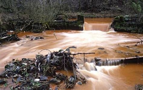 La Olla Exprezza: Contaminación Del Agua