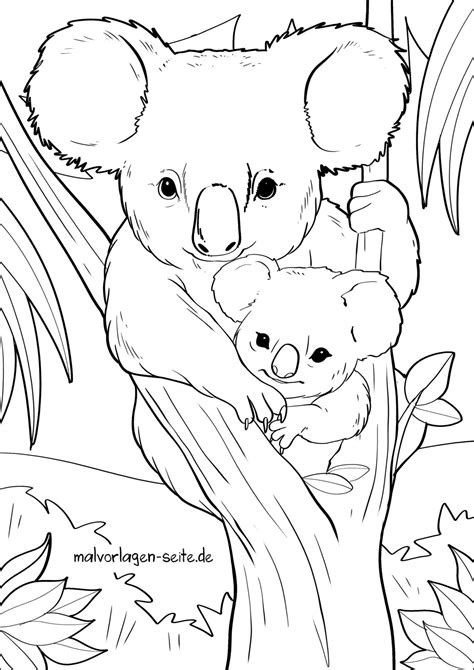 Malvorlage Koalas Ausmalbild Kostenlos Herunterladen