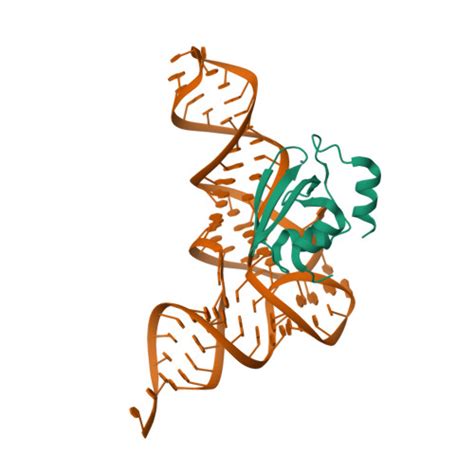 Rcsb Pdb 5v6x Crystal Structure Of The Trna Binding Domain Of