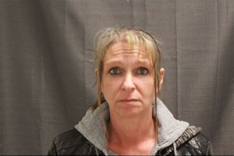 Theresa Rose Smith Sex Offender In Mexico Mo Mo