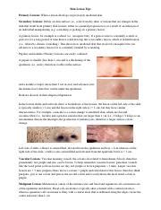 Understanding Skin Lesions Primary Vs Secondary Papules Course Hero