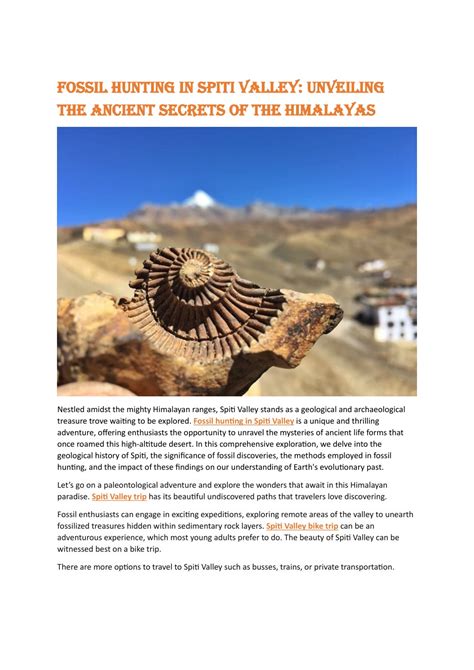 PPT Fossil Hunting In Spiti Valley Unveiling The Ancient Secrets Of