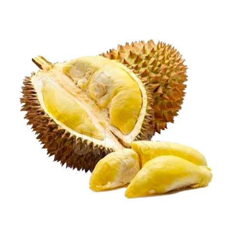 Durian Montong