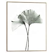 Reinders Bild Slim Frame Wood Gingko B X H 40 X 50 Cm BAUHAUS