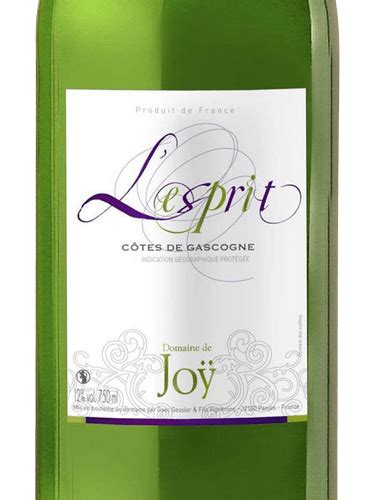 Domaine de Joy L Esprit Côtes de Gascogne Blanc Vivino US