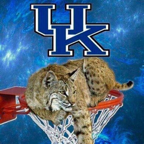 pin  sabrina macdonald  uk wildcats wild cats  big blue