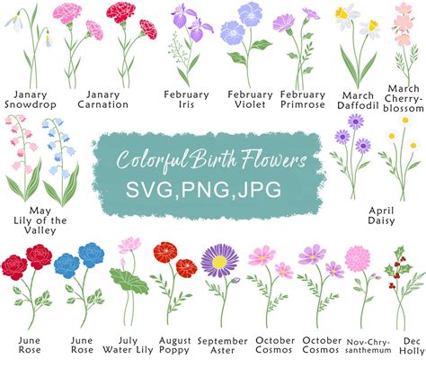 Birth Flower Svg Watercolour Birth Month Flowers Art Print Png Painting