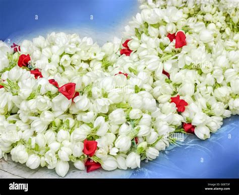 Garland of Jasmine flower Stock Photo - Alamy