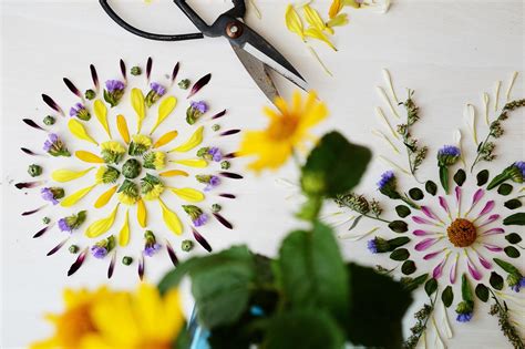 Nature Mandalas · How To Make A Piece Of Pressed Flower Art · Other On Cut Out Keep