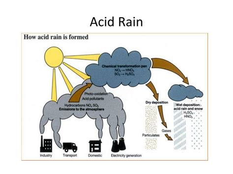 Ppt Acidsbases And Acid Rain Powerpoint Presentation Free Download Id2532251