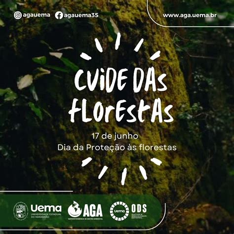 Aga Superintend Ncia De Gest O Ambiental Dia De Prote O S