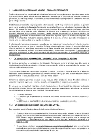 Resume Educacion Personas Adultas Pdf