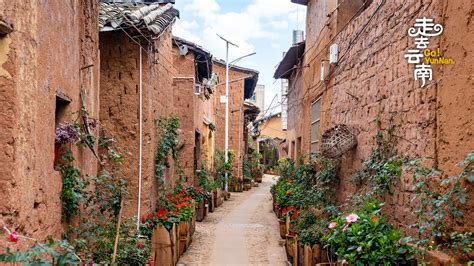 Live Join A Tour Of Flower Alley In Sw Chinas Ethnic Mongol Village