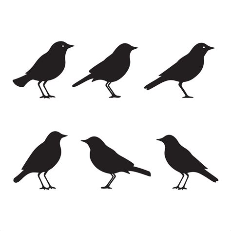 A black silhouette Lark bird set 41413872 Vector Art at Vecteezy