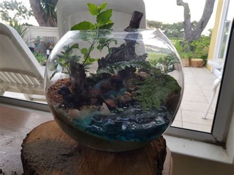 Pin By Roseli Capelesso On Mini Jardins Terrarium Decor Home Decor