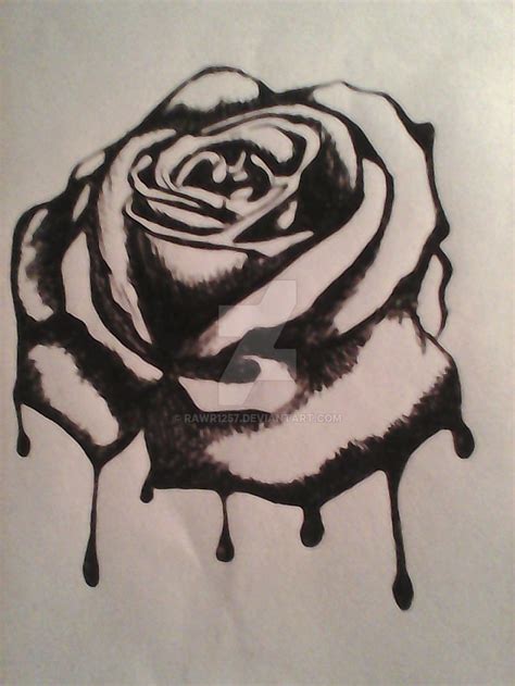 Black Rose Sketch at PaintingValley.com | Explore collection of Black ...