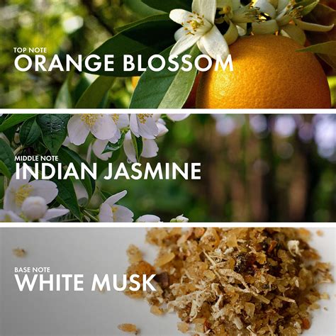 Floral Musk - Craftier Perfumes