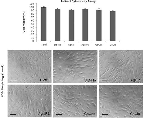 Figure 5 From Biofilm Formation On Titanium Implants Counteracted By