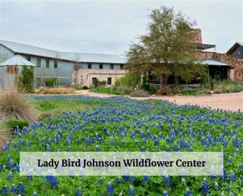 Lady Bird Johnson Wildflower Center Galf Austin