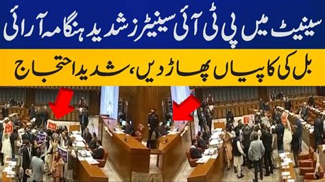 Pti Senators Stage Protest In Senate Against The Supreme Court Practice