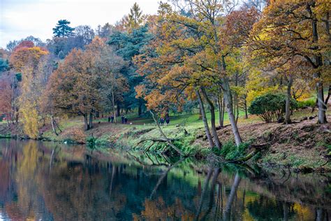 The Surrey Journal - Winkworth Arboretum