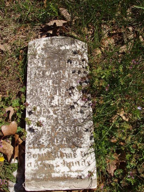 Carl Edvin Hammett Find A Grave Memorial