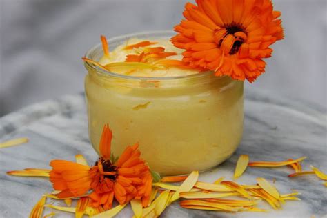 Make a healthy homemade ointment of calendula – Cuisine & Health