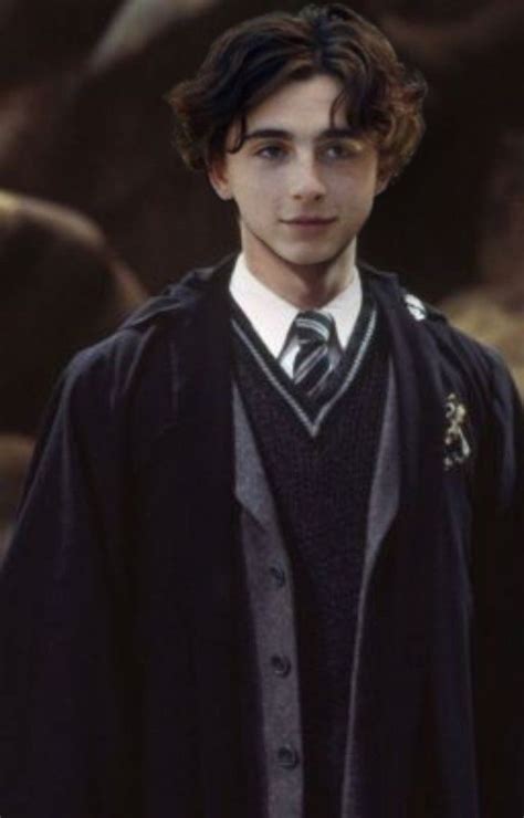 Timothee Chalamet if he was in Slytherin | Immagini di harry potter ...