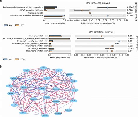 Functional Prediction Of Altered Gut Microbiota And Correlation Download Scientific Diagram