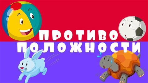 ПРОТИВОПОЛОЖНОСТИ. Обучающее видео для детей - YouTube