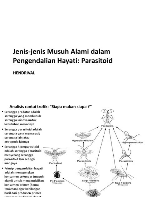 Kuliah 3 Jenis Jenis Musuh Alami Dalam Ph Parasitoid Pdf