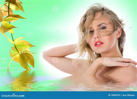 Portrait Of The Nude Blonde Stock Image Image Of Nudity Lady 7006539
