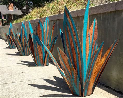 This Massive Blue Tequila Agave Will Catch The Eye Of Any Passerby It