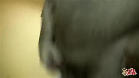 BUKKAKE Ali Cat Porn Videos