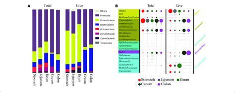 Comparison Of Predominant Bacteria Between Total And Live Microbiota