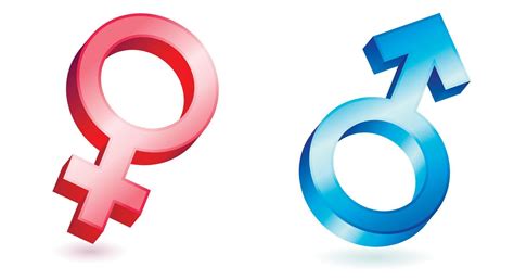 Male And Female Symbol Set Of Two Blue And Pink Icons Gender Symbols Vector Illustration