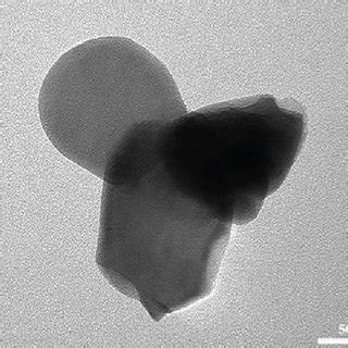 Sem Morphology A And Tem Image B Xrd Pattern C And Vsm Analysis