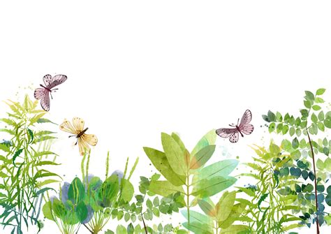 Watercolor plants | Behance :: Behance