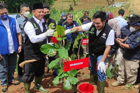 Terdapat Ratusan Ribu Hektare Lahan Kritis Di Jawa Barat Pemprov