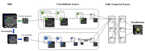 Multi Scale 3d Convolutional Neural Network Download Scientific Diagram