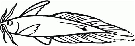 Catfish Coloring Page Colouringpages